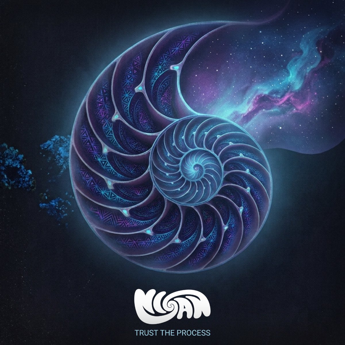NISAN - Trust the process