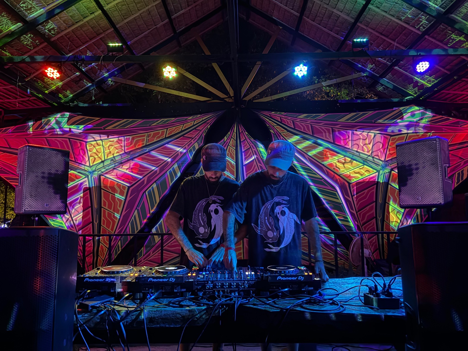 Yin & Yang